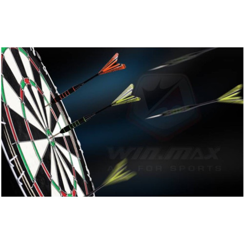 Дартс  WinMax Sport (2431) - фото №6